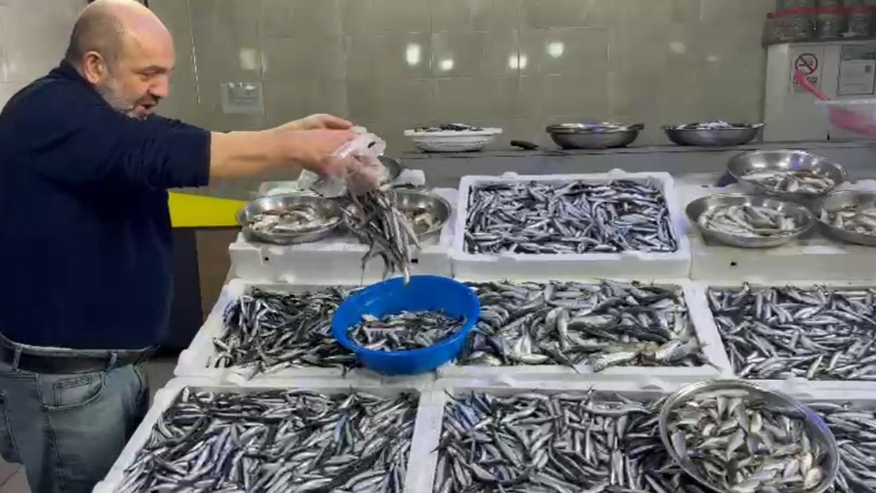 Hamsi Rize'de tezgahlarda 50 TL'den alıcı buluyor