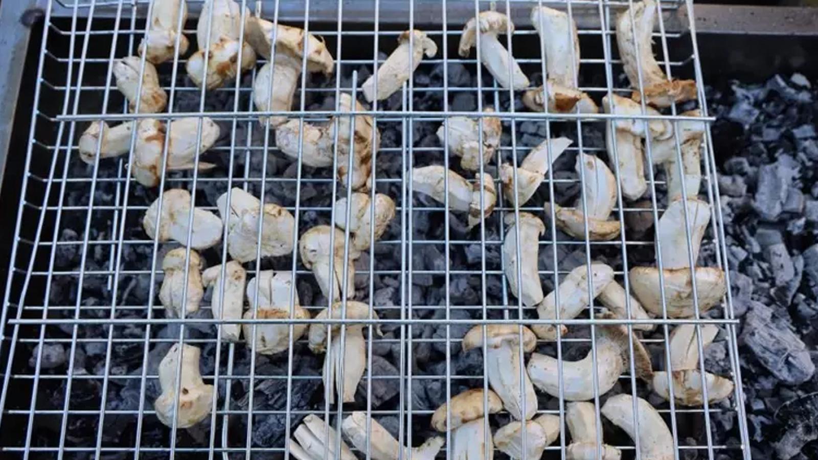 Japonların gözdesi Adana'dan ihraç ediliyor! Kilosu dudak uçuklatıyor