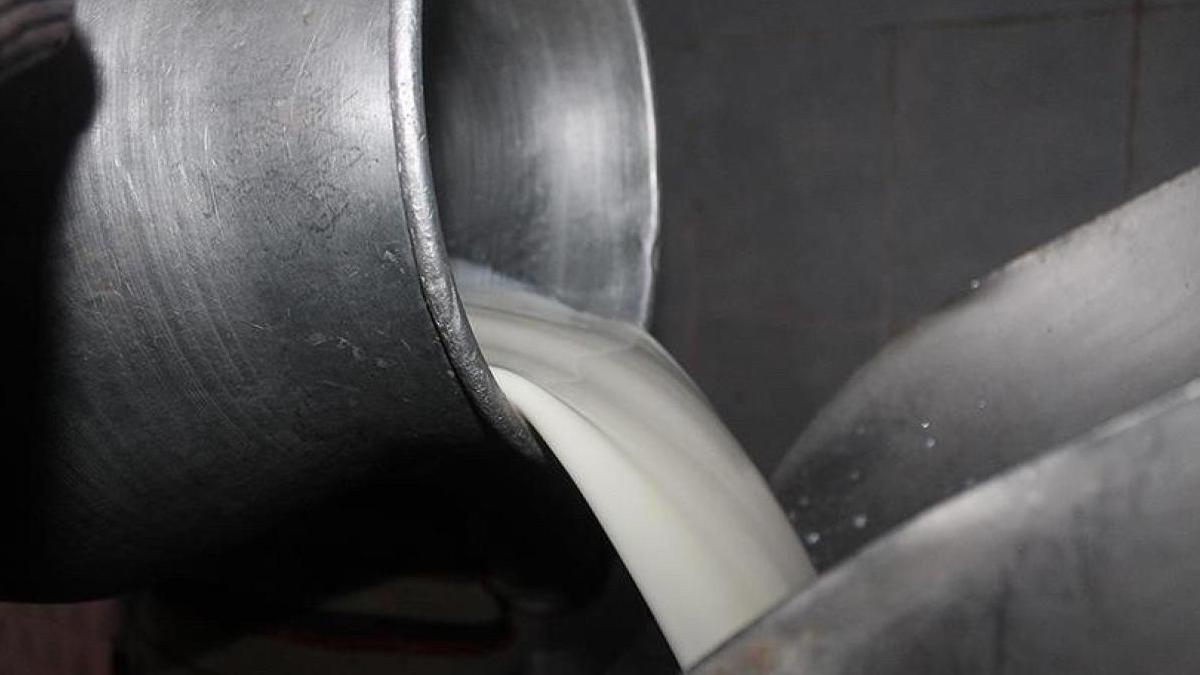 Çiğ süte yeni yağ oranı düzenlemesi