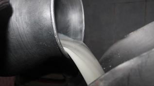 Çiğ süte yeni yağ oranı düzenlemesi