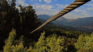 Tatil kabusa döndü! Teleferik inişinde eşek arısı saldırısı can aldı