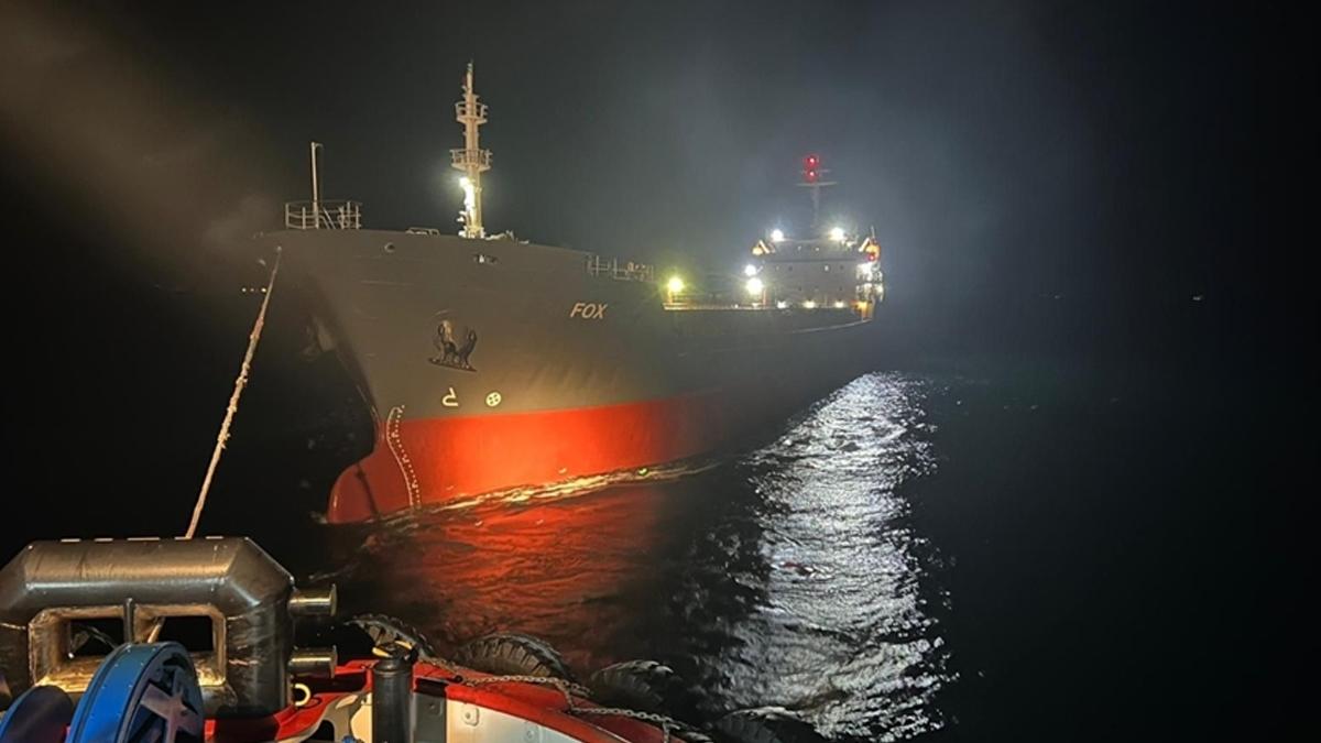 İstanbul Boğazı'nda korku dolu anlar! Aşiyan önlerinde fark edildi