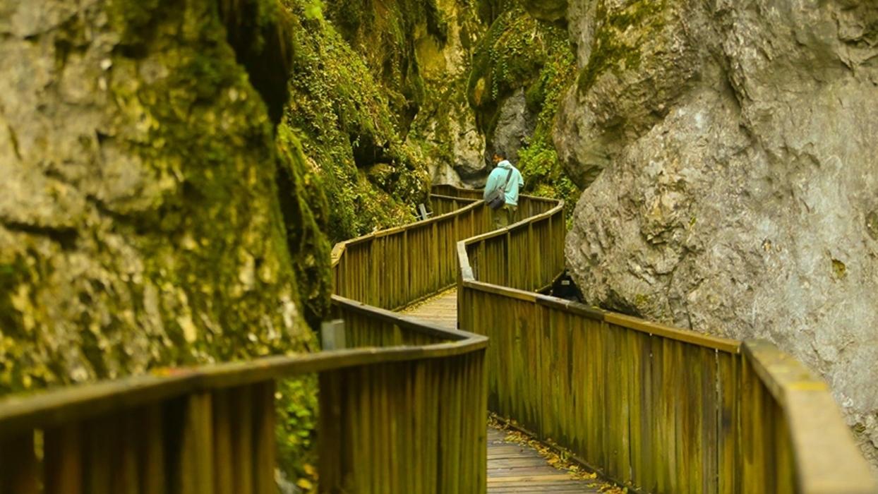 Kastamonu'da içinden sonbaharın geçtiği Horma Kanyonu hazan renkleriyle ziyaretçilerine güzellik sunuyor