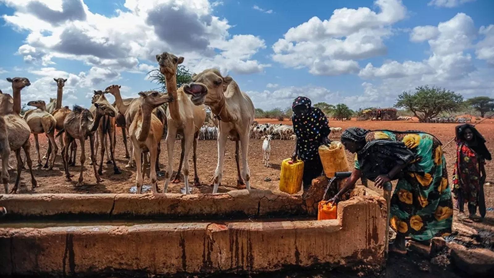 İklim krizi 250 milyon kişiyi yerinden etti