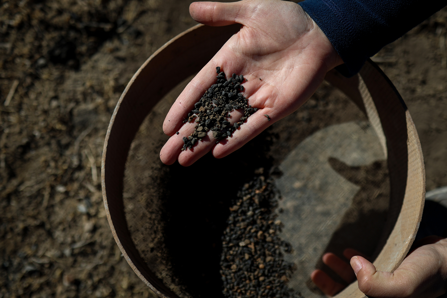 Van'daki kazılarda 5 bin yıllık olduğu değerlendirilen karbonlaşmış arpa taneleri bulundu