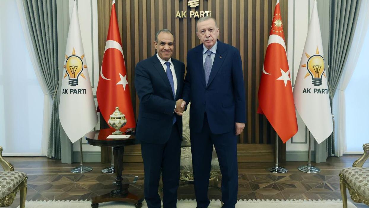 Cumhurbaşkanı Erdoğan, Mısır Dışişleri Bakanı Abdulati'yi kabul etti