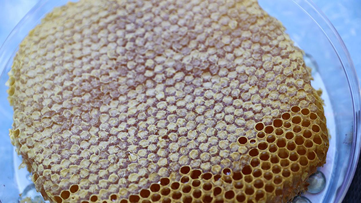 Sahte balı bu şekilde anlayabilirsiniz