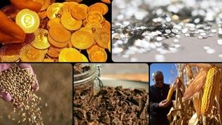 Emtia piyasalarında tarife ve arz-talep endişeleri fiyatlandı