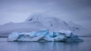 Kutup iklimi değişikliği küresel sağlık risklerini artırıyor