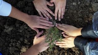 Milli Ağaçlandırma Günü'nde çifte rekor