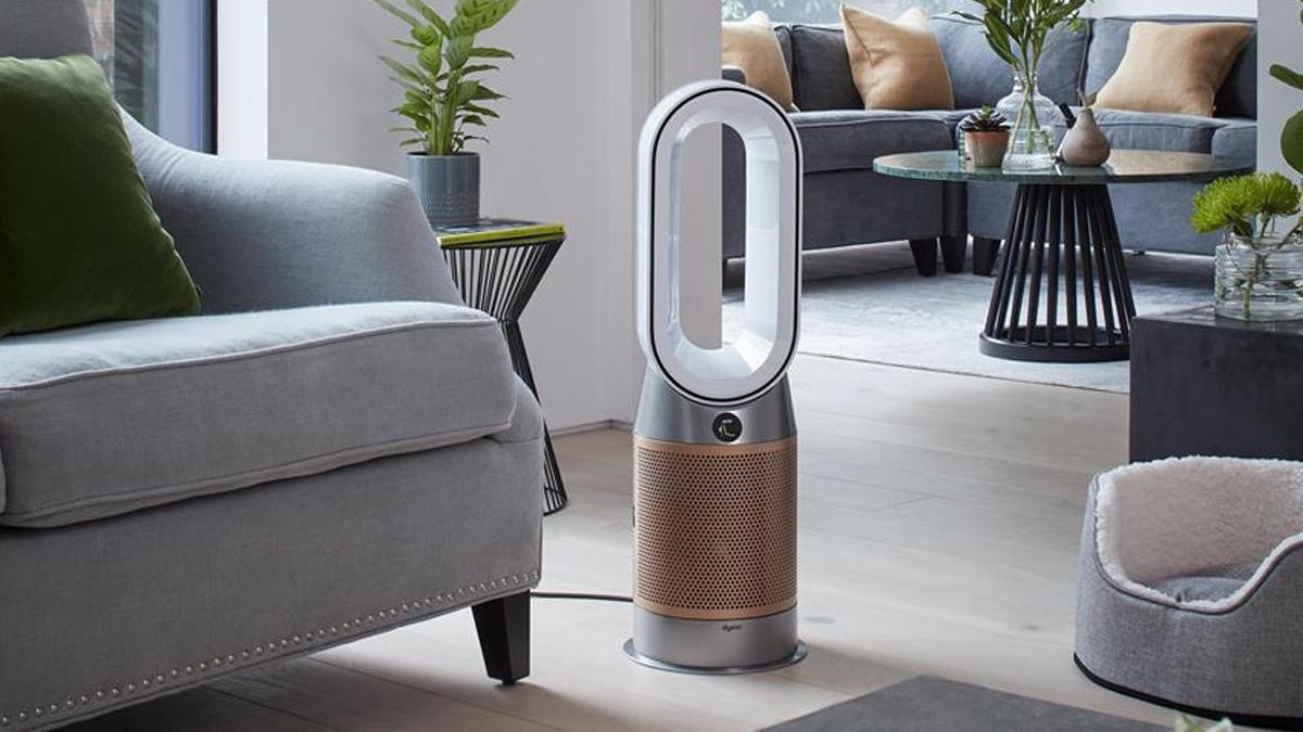 Alerjiniz varsa hava temizleyiciler gerçekten işe yarar mı?