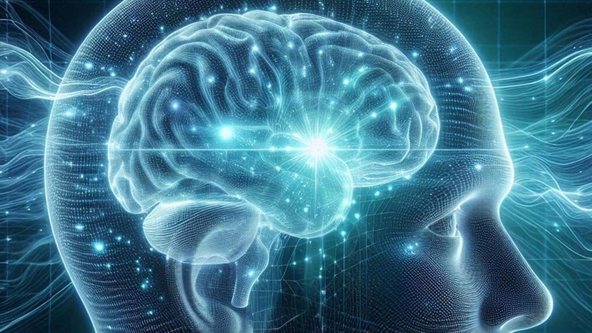 Beyin hücrelerinde alkole ''dur'' diyen gizli bir mekanizma keşfedildi