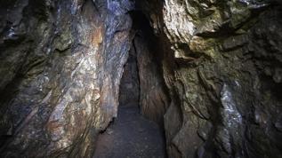 14.400 yıllık pati izleri insanla köpeğin eski işbirliğini kanıtladı