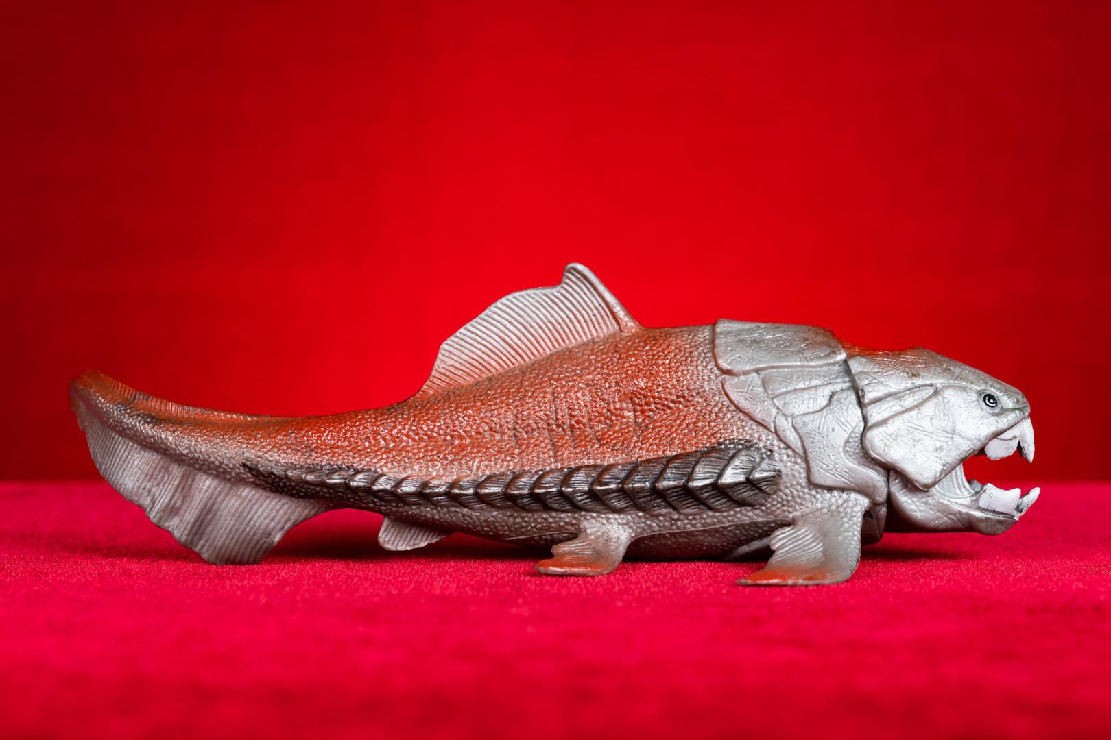 Tarih öncesi deniz canavarı Dunkleosteus'un anatomisi yeniden incelendi