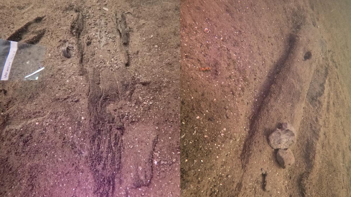 Arkeologlar yerli toplulukların akıllı taşımacılık sistemini ortaya çıkardı...