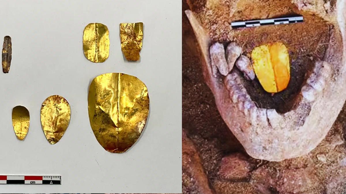 Bu mezardan çıkanlar bilim dünyasını şaşırttı!