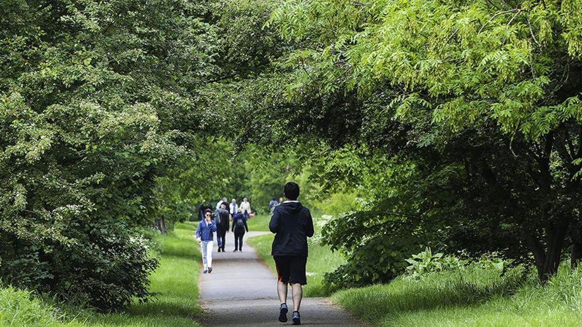 Günde 10 bin adımın faydaları efsane mi, gerçek mi?