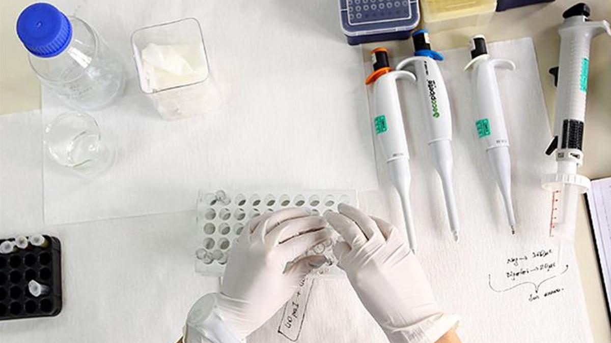 Kan testleri hastalıkları 10 yıl öncesinden tespit edebilecek