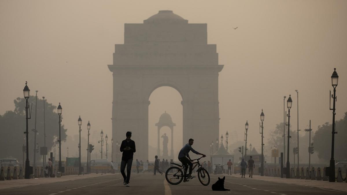 Yeni Delhi'de kirli hava krizi: Halk sokağa döküldü