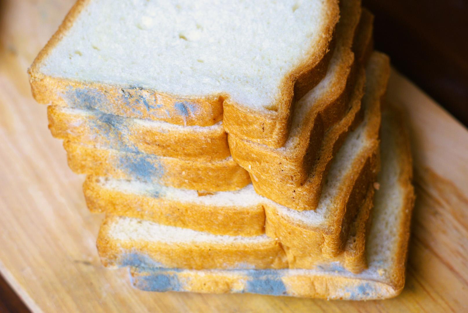 Görünüşte sağlıklı gözüken yiyeceklerde gizli küf tehlikesi