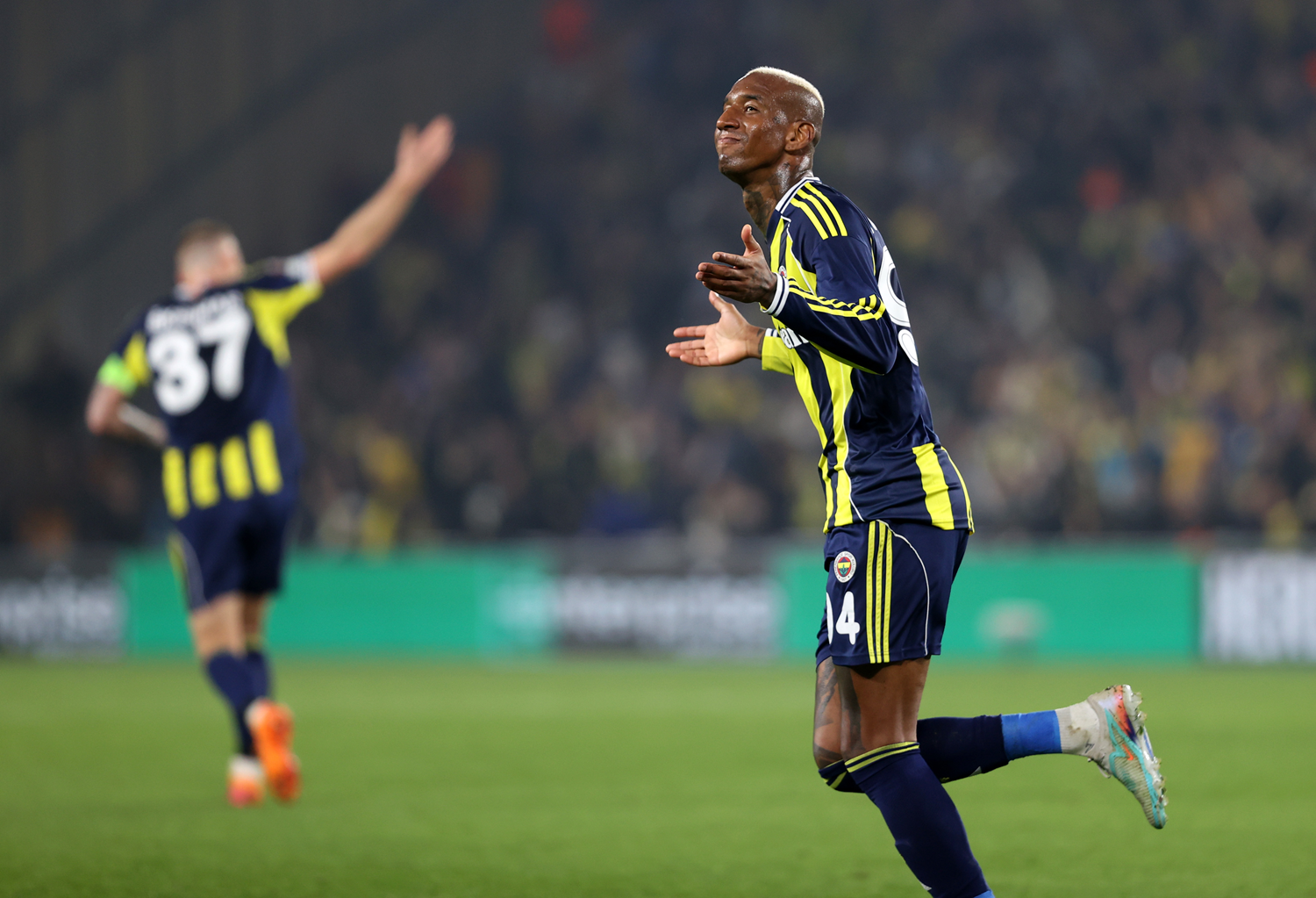 Kanarya evinde takıldı! Kadıköy'de puanlar paylaşıldı