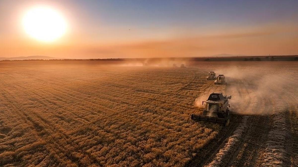 Tarımsal destek ödemeleri bugün çiftçilerin hesabına aktarılacak
