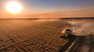 Tarımsal destek ödemeleri bugün çiftçilerin hesabına aktarılacak