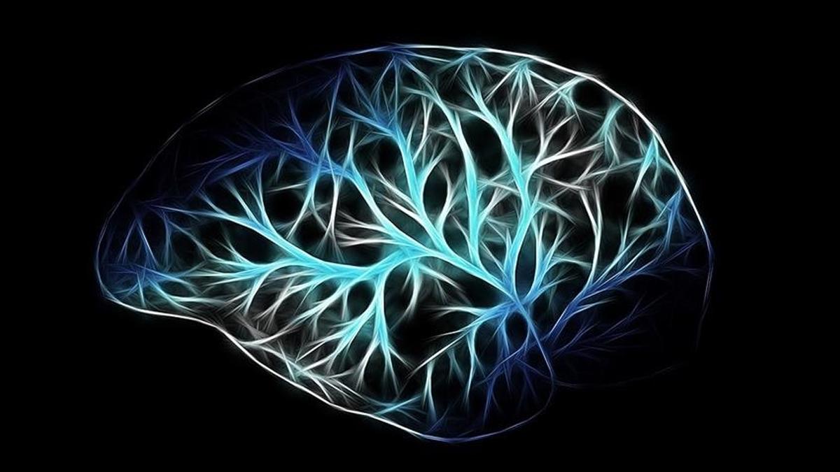 Black Friday'in beyninize etkisi bilim tarafından ortaya konuyor