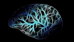 Black Friday'in beyninize etkisi bilim tarafından ortaya konuyor