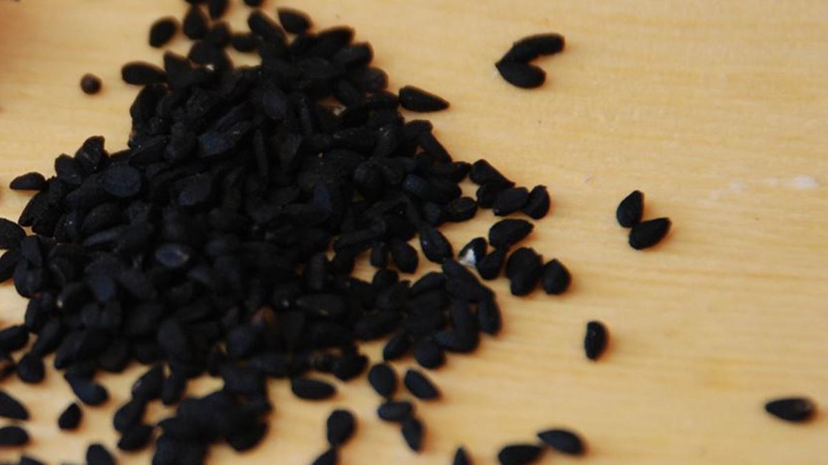 Osaka'dan siyah kimyon tohumu ile kolesterolde umut veren gelişme
