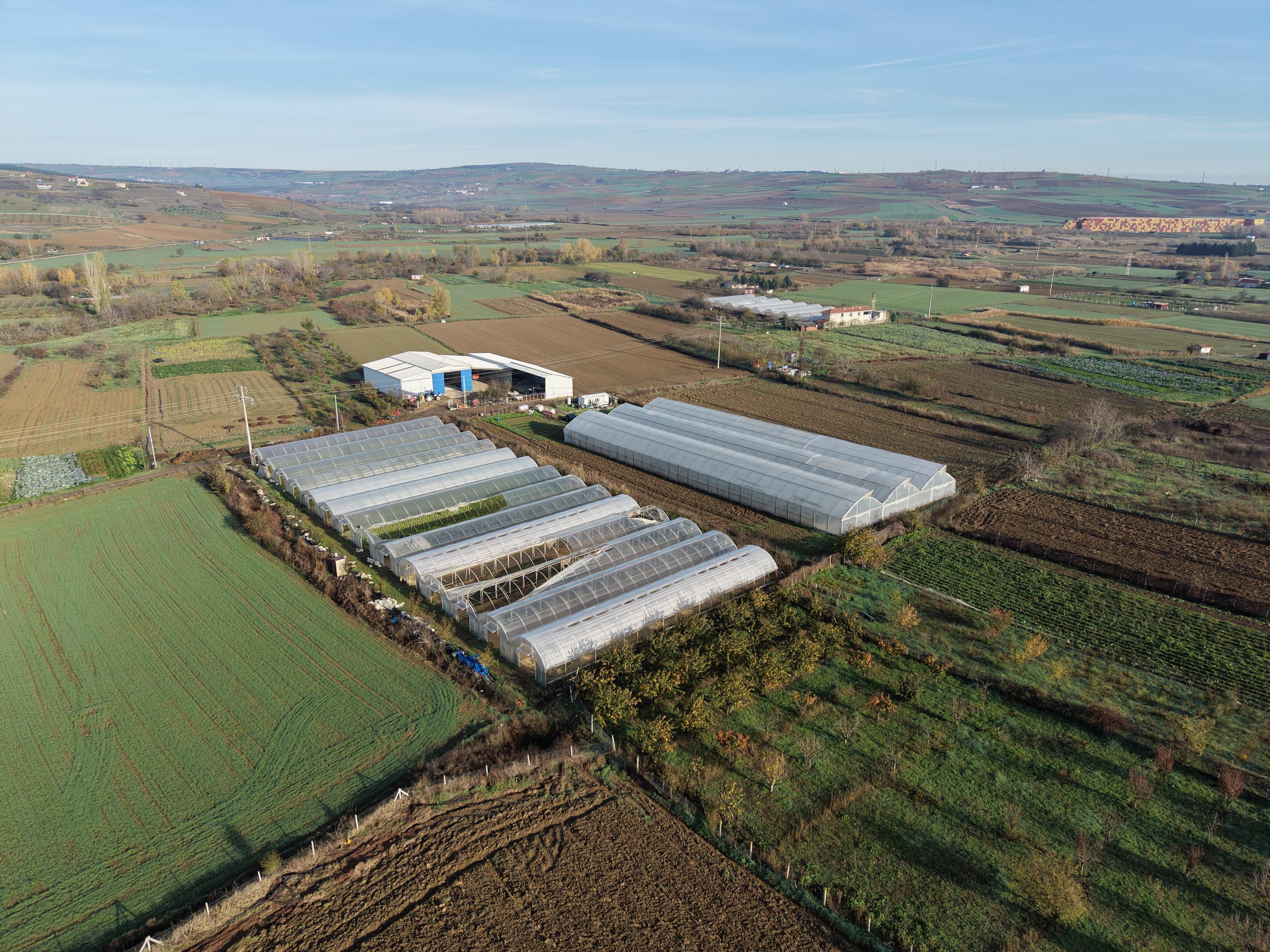 Bakanlık desteğiyle Tekirdağ'da seralar yenilendi: Siz üretin biz yanınızda olalım