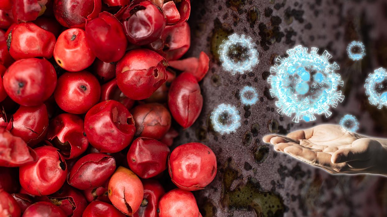 C vitamini deposu belli oldu! Portakalı üçe katlıyor, bağışıklığı koruyor