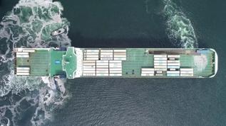 Türkiye ile Mısır, Ro-Ro hattına yeniden işlerlik kazandırılması için çalışma yürütecek