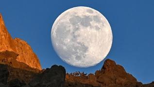 Van'da muhteşem manzara! Dağın zirvesindeki yaban keçileri dolunayla kartpostallık görüntü ortaya çıkardı