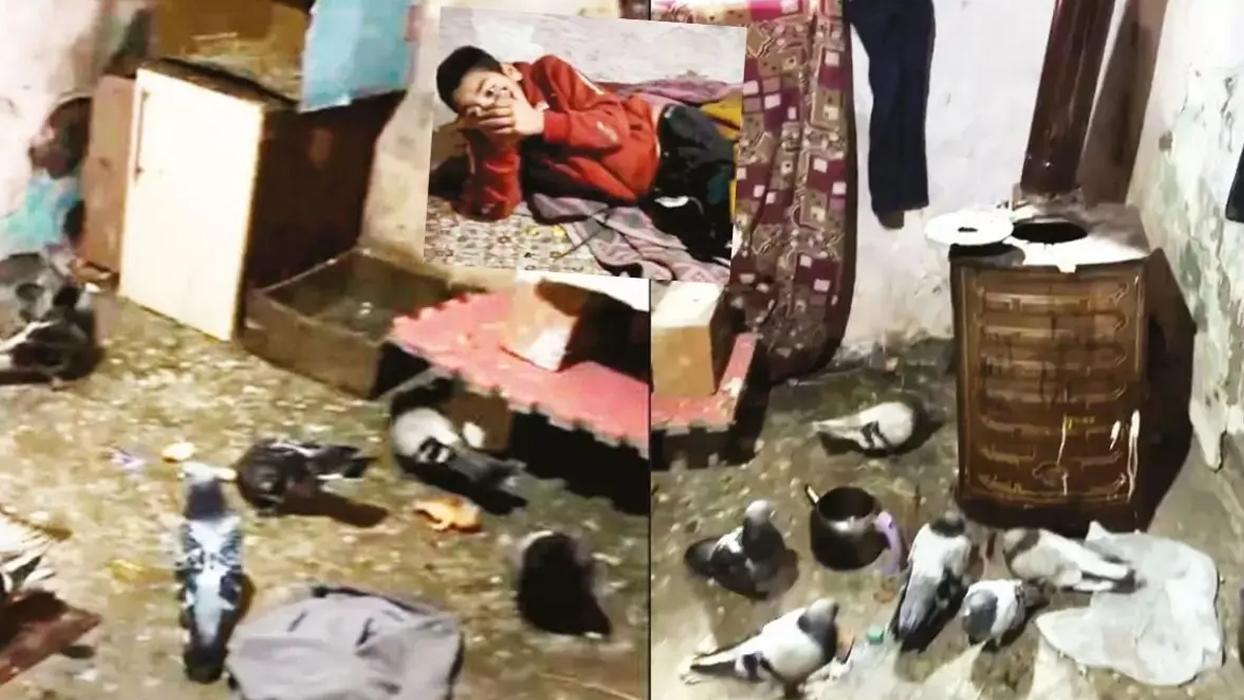 Ankara'da kan donduran olay: Yıllarca güvercin kümesinde tutulmuş