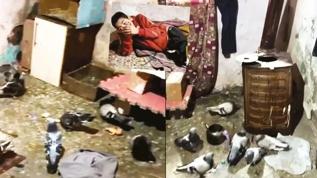 Ankara'da kan donduran olay: Yıllarca güvercin kümesinde tutulmuş