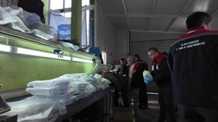 Satışa hazırlıyorlardı! Kilolarca bozuk peynir ele geçirildi