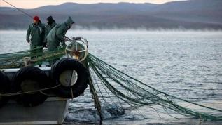 Türkiye, tarihinde ilk kez GFCM başkanı seçildi! Akdeniz balıkçılığında söz artık Ankara'da