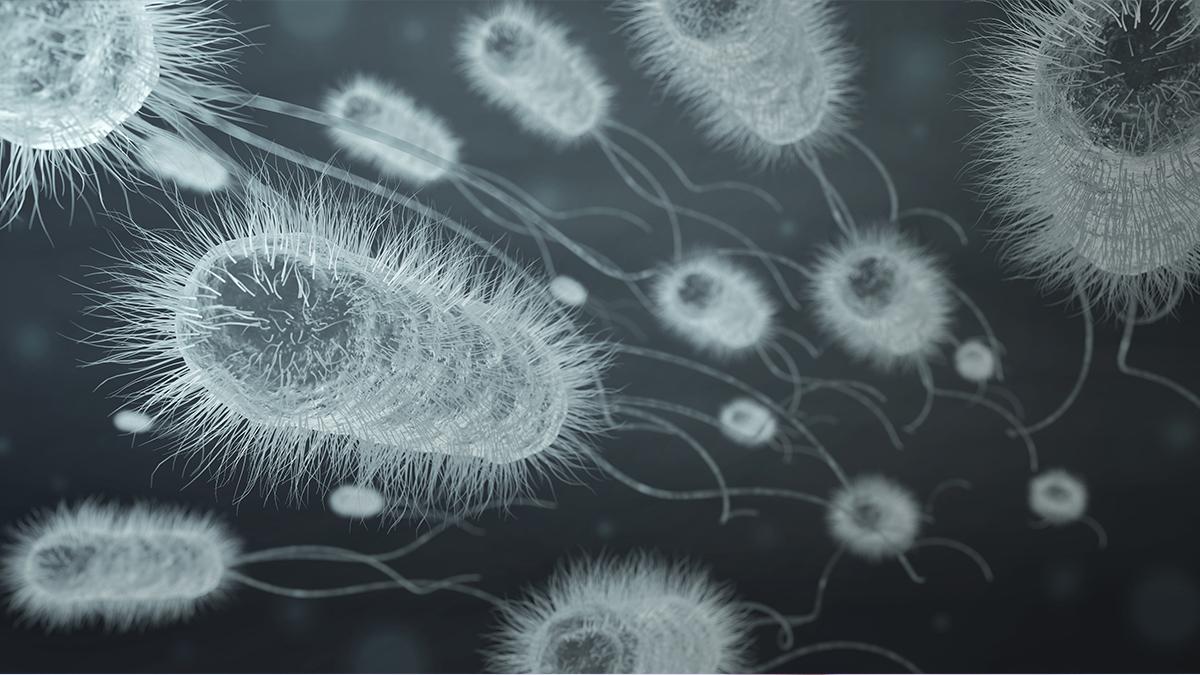 Yaygın ilaçlar bağırsak mikrobiyomunu yıllarca etkileyebiliyor