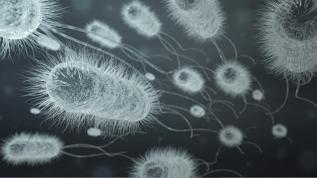 Yaygın ilaçlar bağırsak mikrobiyomunu yıllarca etkileyebiliyor