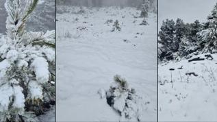Muğla'ya mevsimin ilk karı yağdı! Göktepe Dağı beyaza büründü