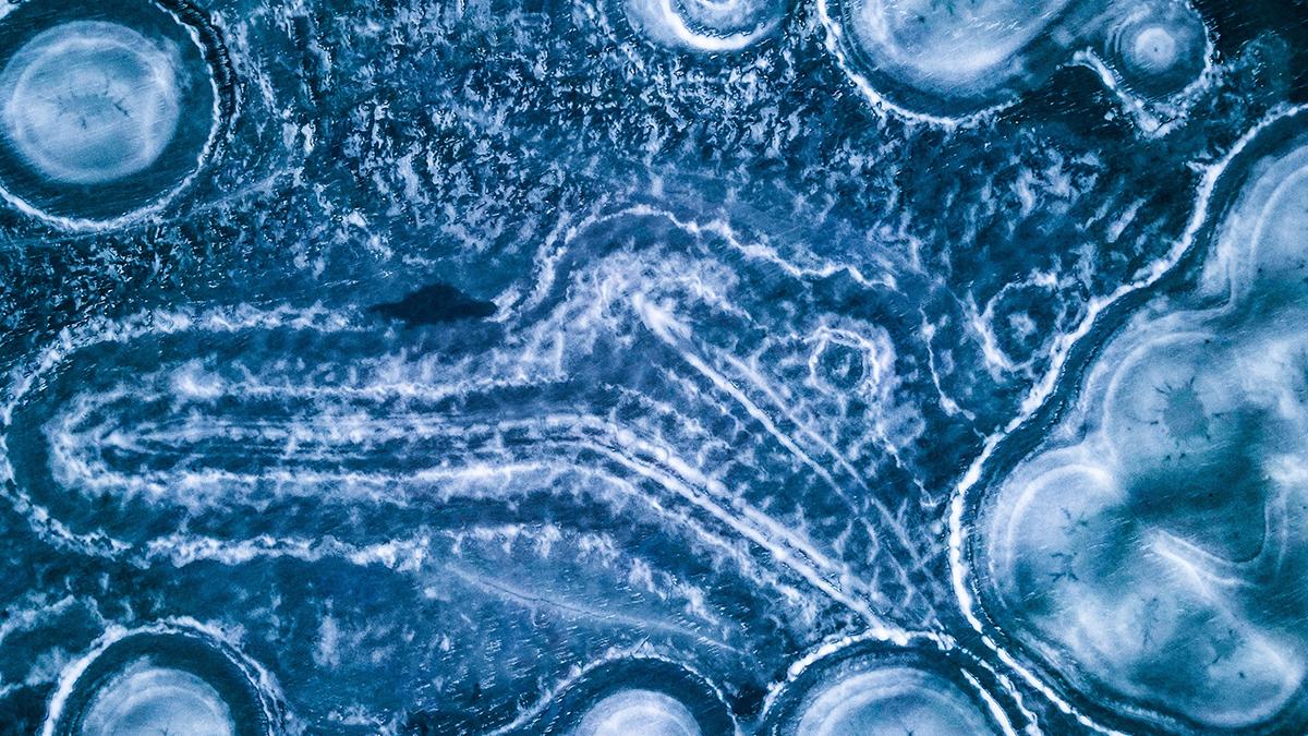 Mitokondri DNA'sı yaşlanmada iltihaplanmaya neden oluyor