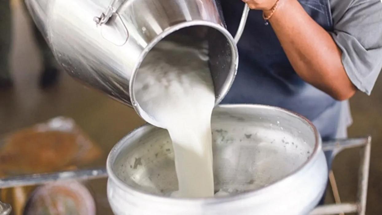 Bir bardakla etkisi başlıyor! Kemikleri güçlendiriyor, yaşlanmayı yavaşlatıyor