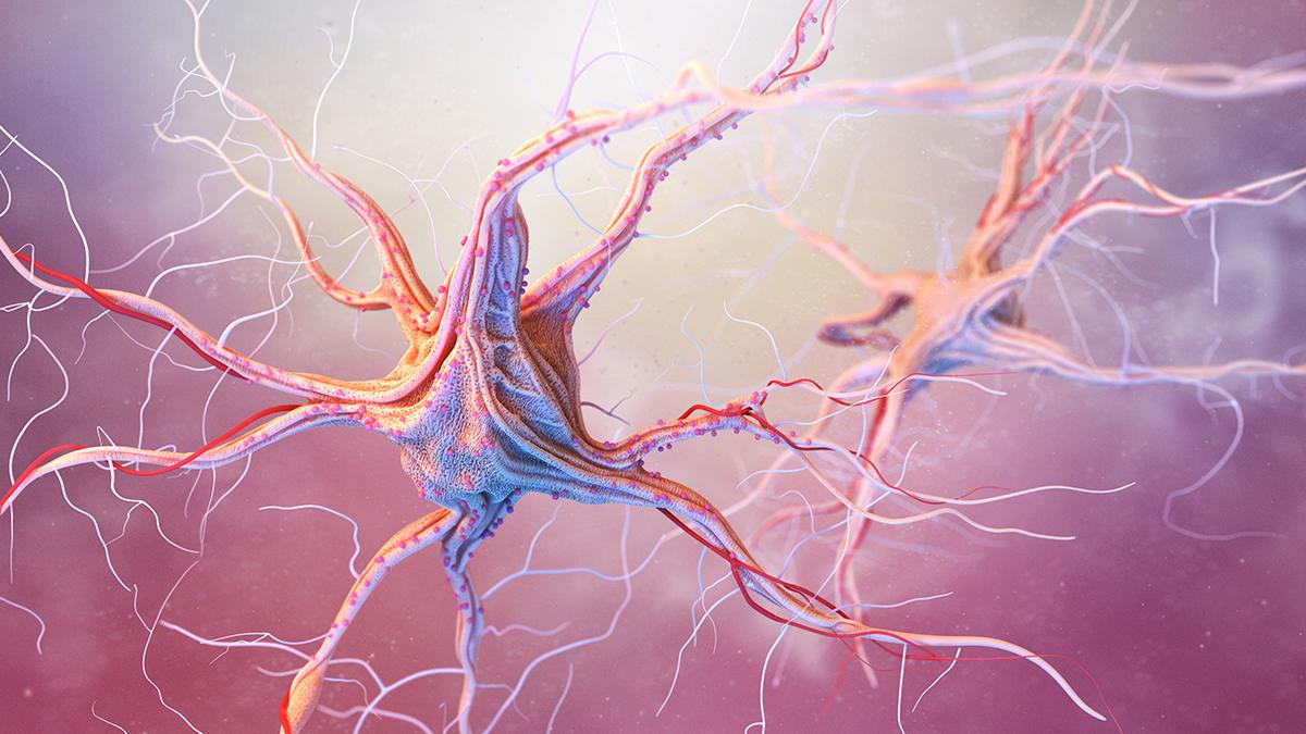 Yapay nöron gerçek beyin hücresiyle ilk kez başarıyla iletişim kurdu