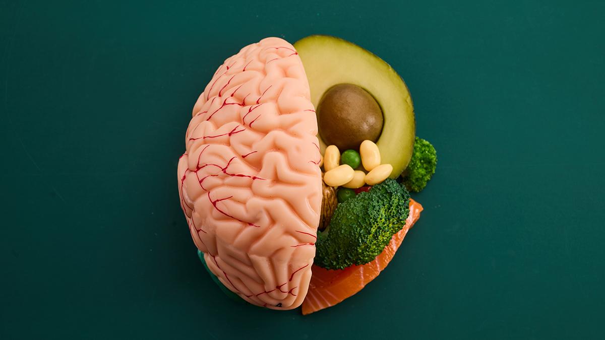 Kalori kısıtlaması beyin yaşlanmasına karşı koruma sağlayabilir