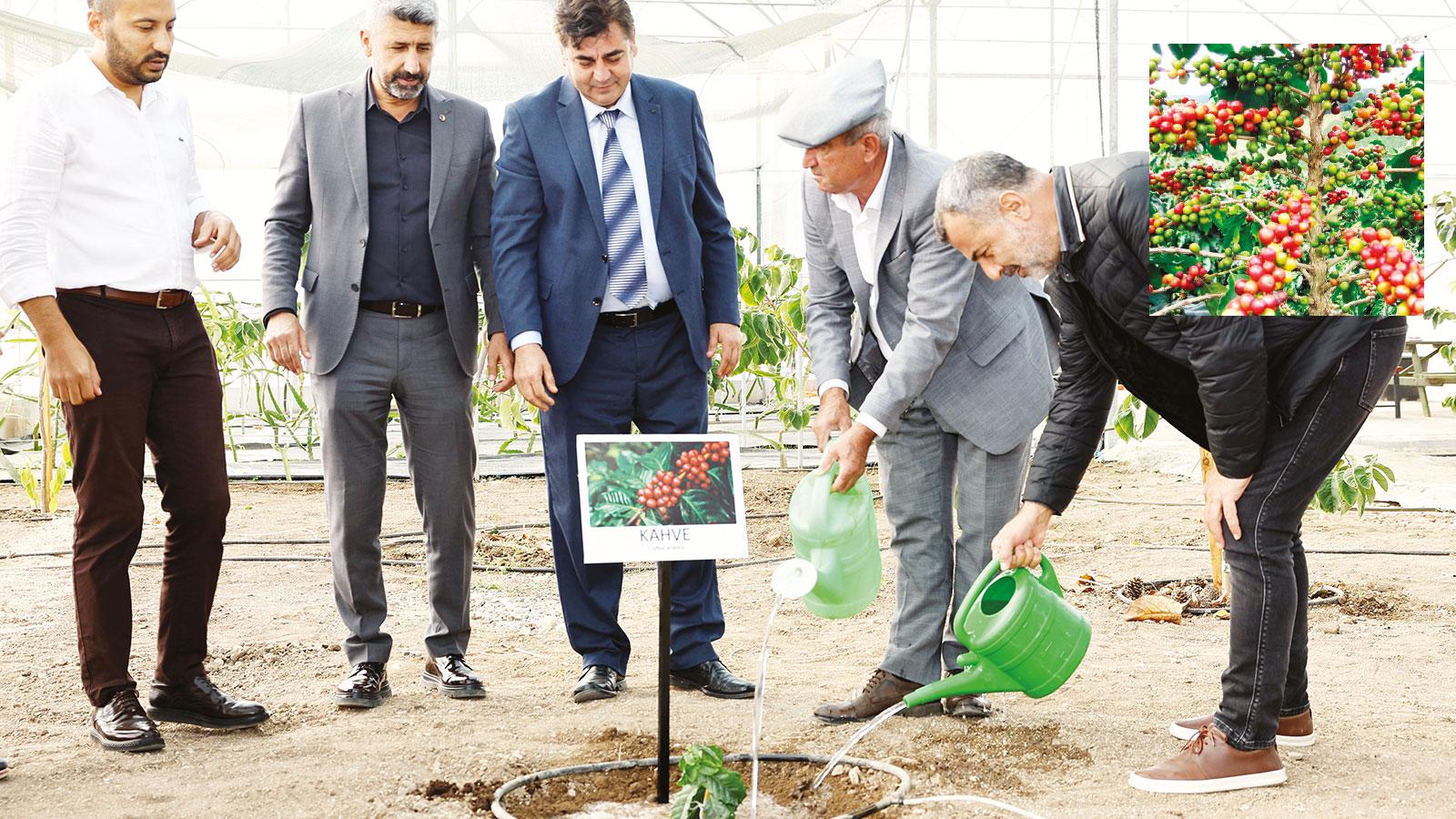 Türk kahvesinin üretimi de Türk olacak