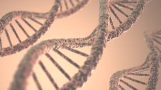 Genetik tarama, kolesterolün sessiz tehdidine karşı hayat kurtarıyor