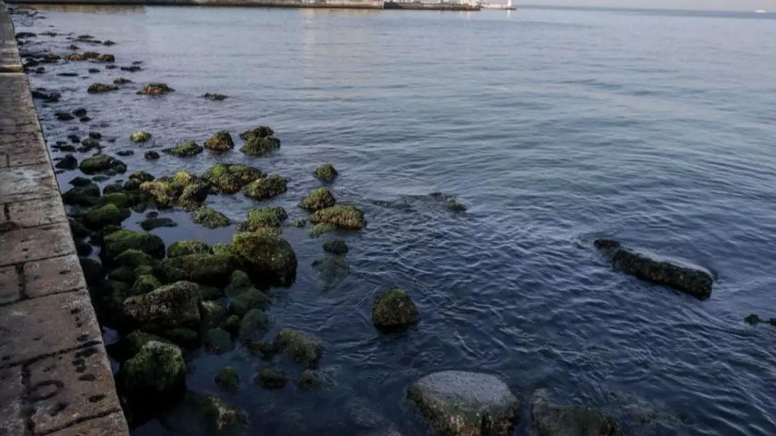 İzmir'de denizde erkek cesedi bulundu