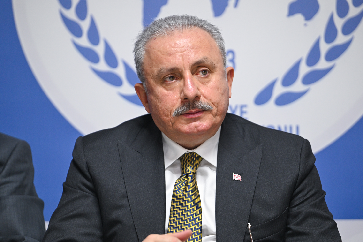 Eski TBMM Başkanı Şentop'tan seçim mesajı: Cumhurbaşkanı Erdoğan tekrar aday olabilir