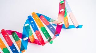 Genetik hastalıklarda yeni umut! FDX2'nin gizemi çözüldü mü?